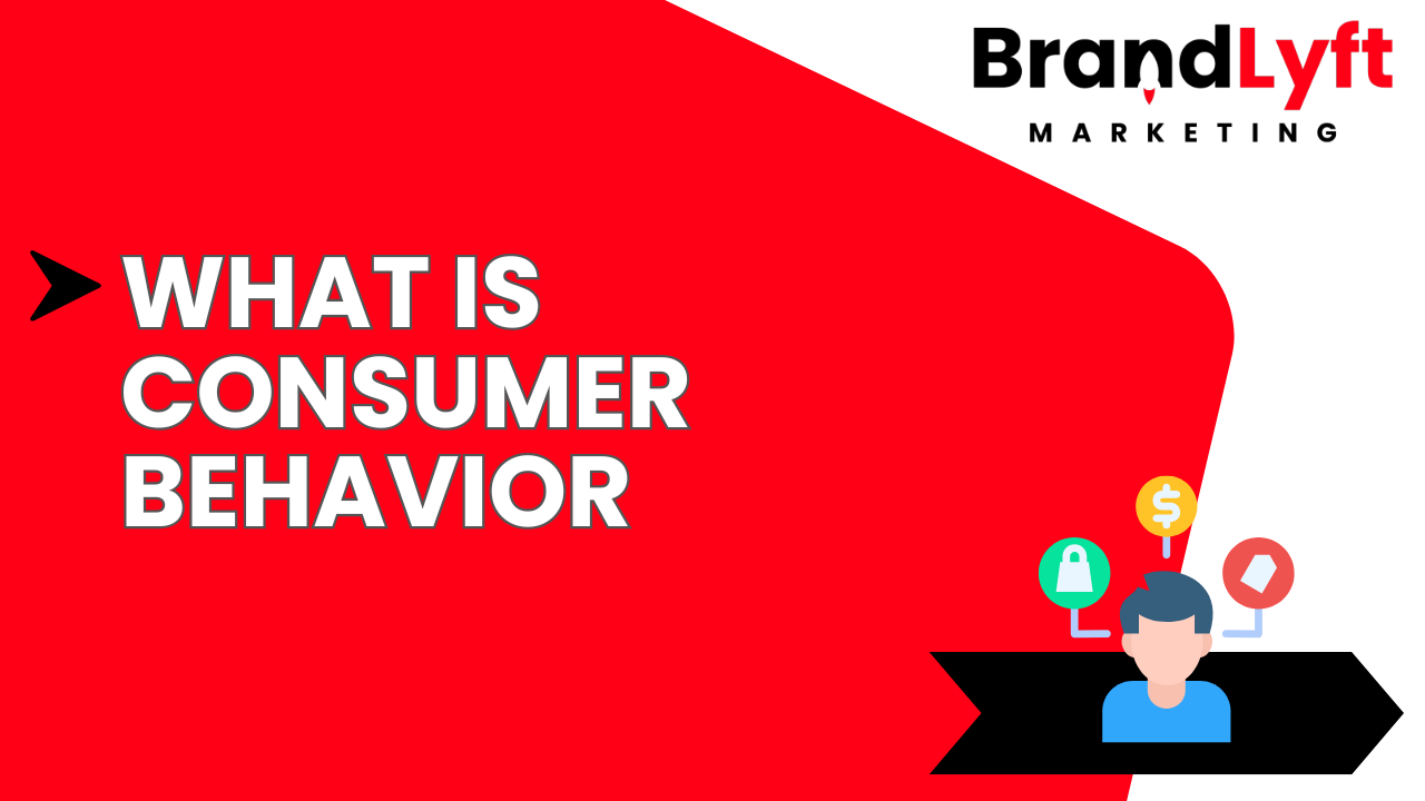 What is consumer behavior